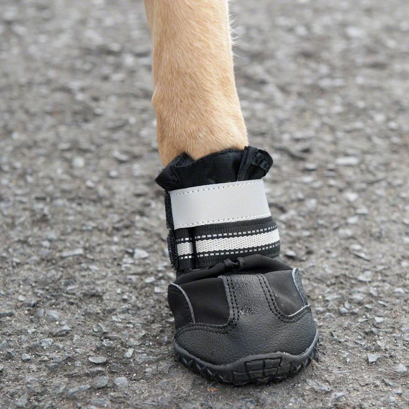 Sports & Protective Dog Boots L (5) 13 Sports & Protective Dog Boots L (5) - Image 11