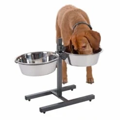 Dog Bowl Stand With 2 Stainless Steel Bowls 2 X 2.8 L -Pet Shop 313523 kumar hundebar inklusive 2 edelstahln pfe 03 dsc5878 8