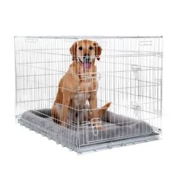Double Door Crate With Cushion M: 78 X 55 X 61 Cm (L X W X H) -Pet Shop 366511 kuschelkissen fuer transportkaefig 10 07 2013 6 1