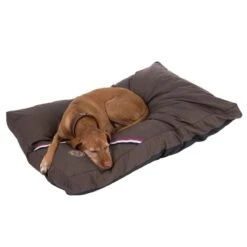Champion Dog Cushion 120 X 80 X 10 Cm (L X W X H)