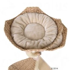 Flower Cat Tree Cream -Pet Shop 434047 kratzbaum cat s flower 12 5