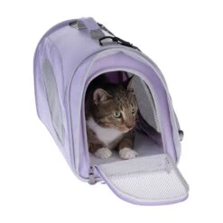 Pet Carrier Brown & Beige: 54 X 26 X 30cm (L X W X H) 26 Pet Carrier Brown & Beige: 54 X 26 X 30cm (L X W X H) -Pet Shop 494345 cat fg 2385 1 1