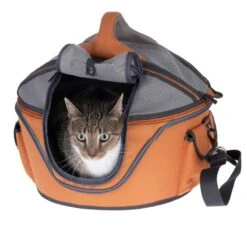 Sandy Hard Case Carrier Bag Green: 46 X 44 X 35cm (L X W X H) 34 Sandy Hard Case Carrier Bag Green: 46 X 44 X 35cm (L X W X H) -Pet Shop 494346 cat fg 2336 1 1