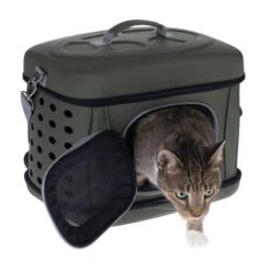 Collapsible Transport Case Green: 42 X 32 X 30cm (L X W X H) -Pet Shop 494347 cat fg 2328 6 1