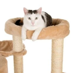 Bear's Den Cat Tree Light Grey 25 Bear's Den Cat Tree Light Grey -Pet Shop 49702 kratzbaum baerenhoehle fg 4761 6