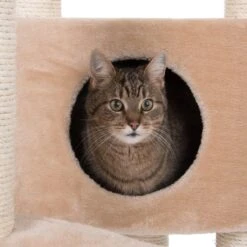 Atlas Cat Tree Grey 32 Atlas Cat Tree Grey -Pet Shop 50897 kratzbaum atlas beige fg 9573 8 1