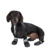 Sports & Protective Dog Boots XXL (7) -Pet Shop 52149 hundeschuhe xs fg 0839 ret 3 4