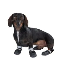 Sports & Protective Dog Boots XL (6)