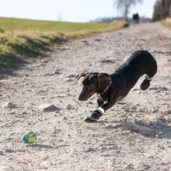 Sports & Protective Dog Boots S (3) -Pet Shop 52149 hundeschuhe xs fg 0967 9 1