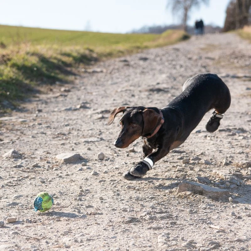 Sports & Protective Dog Boots XS (2) 6 Sports & Protective Dog Boots XS (2) - Image 4