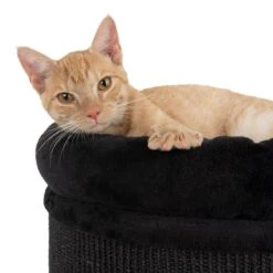 Diogenes Scratching Barrel - XL Beige -Pet Shop 60697 kratztonne diogenes xl fg 3727 3 1