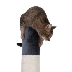 XXL Jumbo Scratching Post Cream -Pet Shop 68242 kratzstamm jumbo fg 9495 0