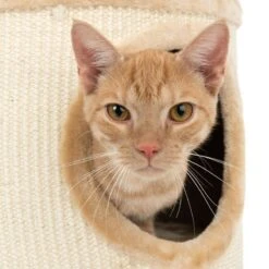 Diogenes Scratching Barrel - L Grey -Pet Shop 69059 kratztonne diogenes l fg 3790 9