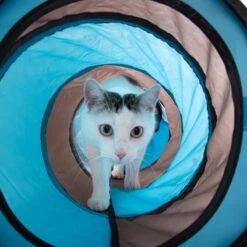 Connect 2-in-1 Cat Tunnel 1 Set (1 Tunnel + 1 Dice) -Pet Shop 69261 katzentunnel connect 2in1 fg 3167 2