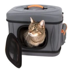 Collapsible Transport Case Green: 42 X 32 X 30cm (L X W X H) -Pet Shop 70946 falttransporttasche fg 6729 6 1