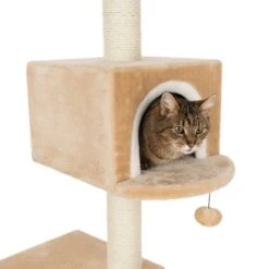 Gingerbread House Cat Tree With Ladder Beige 33 Gingerbread House Cat Tree With Ladder Beige -Pet Shop 72124 knusperhaeuschen beige fg 9519 6 1
