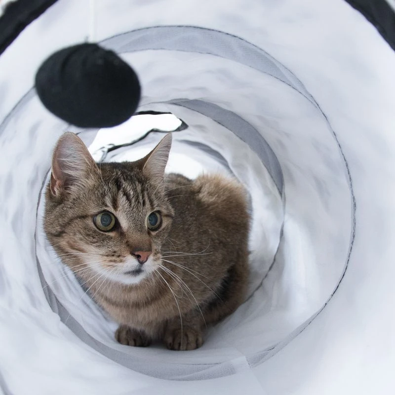 Pawty Cat Tunnel Diameter 25cm X L 100cm 10 Pawty Cat Tunnel Diameter 25cm X L 100cm - Image 8