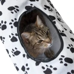 Pawty Cat Tunnel Diameter 25cm X L 100cm 26 Pawty Cat Tunnel Diameter 25cm X L 100cm -Pet Shop 73429 katzentunnel pawty katze fg 0927 0