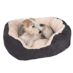 Cosy Cord Cuddly Bed 63 X 53 X 15 Cm (L X W X H) 20 Cosy Cord Cuddly Bed 63 X 53 X 15 Cm (L X W X H) -Pet Shop 74427 hundebett cozy cord fg 2275 3