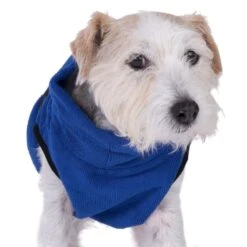 Microfibre Dog Coat XL: Approx. 83cm Back Length -Pet Shop 75396 microfaser trockenmantel fg 4559 1