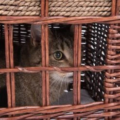 Pueblo Cat Den Beige - 56 X 36 X 42 Cm (L X W X H) -Pet Shop 76089 katzenhaus pueblo fg 3796 1 1