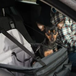 Car Booster Seat 38 X 44 X 35 Cm (L X W X H) 20 Car Booster Seat 38 X 44 X 35 Cm (L X W X H) -Pet Shop 78030 autositz booster fg 6388 6