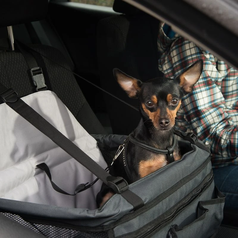 Car Booster Seat 38 X 44 X 35 Cm (L X W X H) 9 Car Booster Seat 38 X 44 X 35 Cm (L X W X H) - Image 7