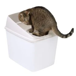 Big Box Cat Litter Tray White -Pet Shop 78725 top entry katzentoilette fg 7268 1