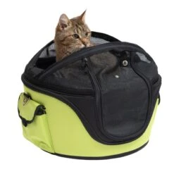 Sandy Hard Case Carrier Bag Green: 46 X 44 X 35cm (L X W X H) 25 Sandy Hard Case Carrier Bag Green: 46 X 44 X 35cm (L X W X H) -Pet Shop 78735 tragetasche sandy fg 7820 0 1