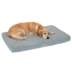Rectangular Memory Foam Dog Bed - Grey 100 X 65 X 9.5 Cm (L X W X H) -Pet Shop 79220 memory hund fg 3781 0