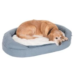 Oval Memory Foam Dog Bed, Grey-blue 100 X 65 X 24 Cm (L X W X H) -Pet Shop 79310 memory oval grau fg 6579 0 1