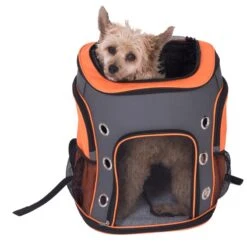 Voyage Rucksack 33 X 26 X 42 Cm (L X W X H) -Pet Shop 79332 rucksack voyage fg 7224 4