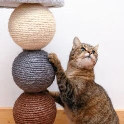 Planet Scratch Post Grey -Pet Shop 80399 kratzbaum und katze fg 1295 4