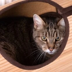 Natural Retreat Radiator Cat Bed Beige/brown 23 Natural Retreat Radiator Cat Bed Beige/brown -Pet Shop 80410 heizungsliege natural retreat fg 9182 9