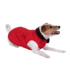 Quilted Dog Coat Approx. 30cm Back Length 19 Quilted Dog Coat Approx. 30cm Back Length -Pet Shop 81643 hundemantel steppmuster russel fg 8826 gespiegelt 1 4