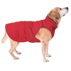 Quilted Dog Coat Approx. 70cm Back Length -Pet Shop 81645 hundemantel steppmuster hund fg 8615 gespiegelt 8