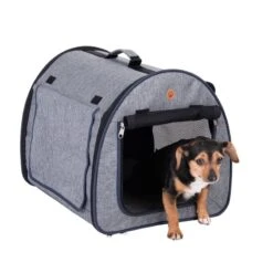 Easy Go Folding Transport Box M: 65 X 49 X 50 Cm (L X W X H) -Pet Shop 84246 easy go chihuahua mix fg 4 7 1