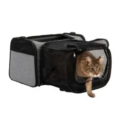 Onoen Carry Bag With Run 48 X 30.5 X 30.5 Cm (L X W X H) 19 Onoen Carry Bag With Run 48 X 30.5 X 30.5 Cm (L X W X H) -Pet Shop 85509 tragetasche onoen fg 3034 4