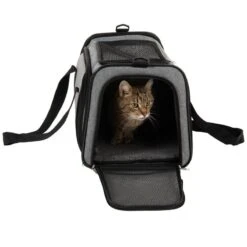 Onoen Carry Bag With Run 48 X 30.5 X 30.5 Cm (L X W X H) 18 Onoen Carry Bag With Run 48 X 30.5 X 30.5 Cm (L X W X H) -Pet Shop 85509 tragetasche onoen fg 3041 7