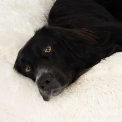 Fluffy Dog Bed Replacement Cover: Mint 125 X (H) 25cm -Pet Shop 97650 aussiemix fg 4786 7 1