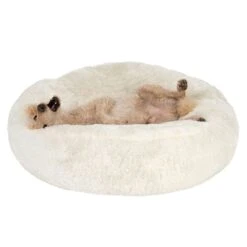 Fluffy Dog Bed Replacement Cover: Mint 65 X (H) 20cm 37 Fluffy Dog Bed Replacement Cover: Mint 65 X (H) 20cm -Pet Shop 97651 koenigspudel fg 4701 2