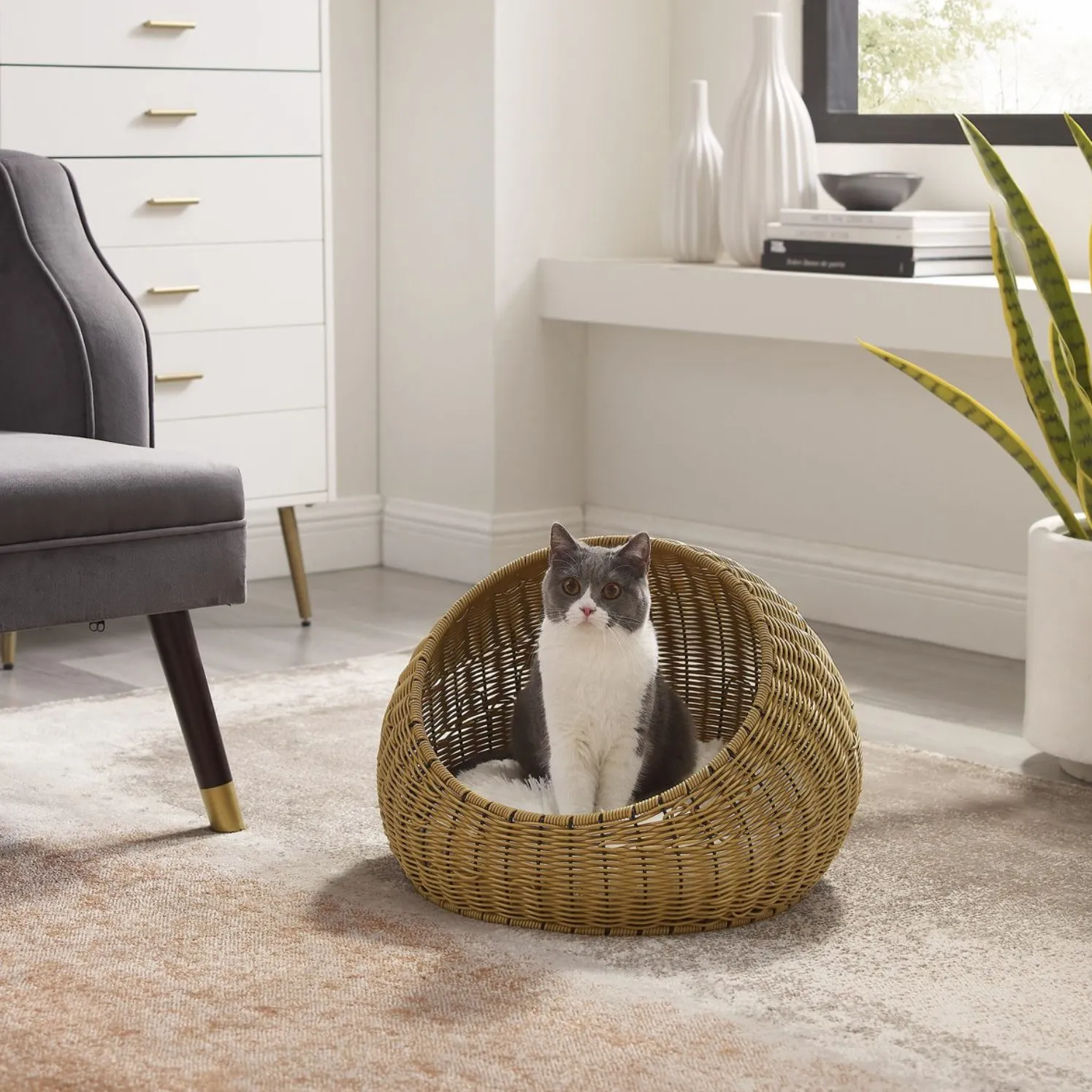 Pet Shop 38 Pet Shop -Pet Shop Wicker cat beds baskets 1 e1693987600566