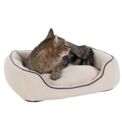 Vanilla Pet Bed 50 X 45 X 12 Cm (L X W X H) 12 Vanilla Pet Bed 50 X 45 X 12 Cm (L X W X H) -Pet Shop dsc1253 0