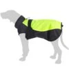 Dog Coat Illume Nite Neon Approx. 50cm Back Length -Pet Shop dsc1480 1 2