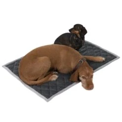 Velvet Snuggle Blanket - Granite Grey 100 X 70 Cm (L X W) -Pet Shop dsc3105 0