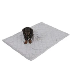 Velvet Snuggle Blanket - Granite Grey 100 X 70 Cm (L X W) -Pet Shop dsc3110 5