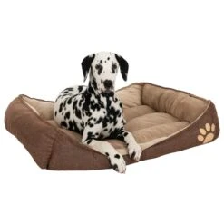 Basic Cuddle Bed 54 X 48 X 11 Cm (L X W X H) -Pet Shop dsc8252 6