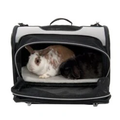 Pet Carrier Freedom With Side Extension 50 X 29 X 32 Cm (L X W X H) 19 Pet Carrier Freedom With Side Extension 50 X 29 X 32 Cm (L X W X H) -Pet Shop dsc8258 2