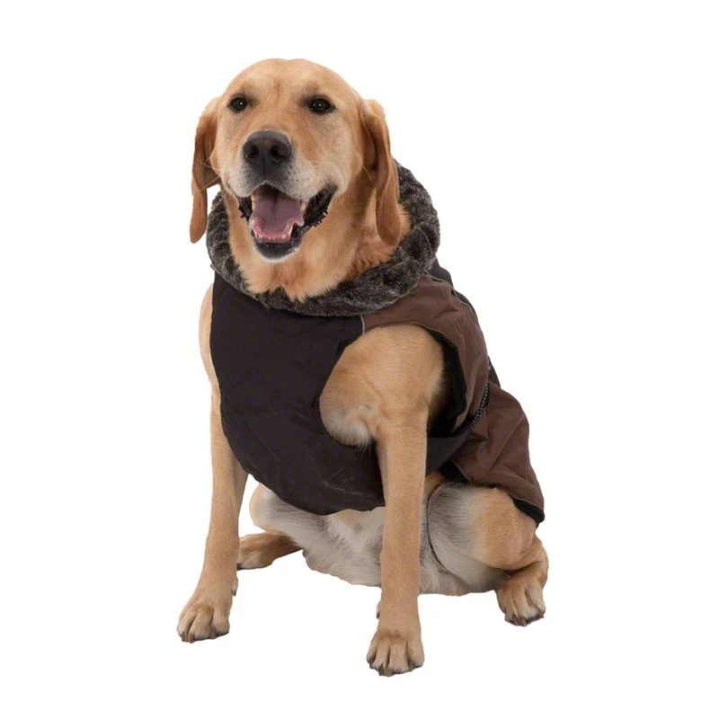Dog Coat Grizzly II Approx. 45cm Back Length 10 Dog Coat Grizzly II Approx. 45cm Back Length - Image 8