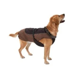Dog Coat Grizzly II Approx. 35cm Back Length -Pet Shop hundem ntel 35 2 3